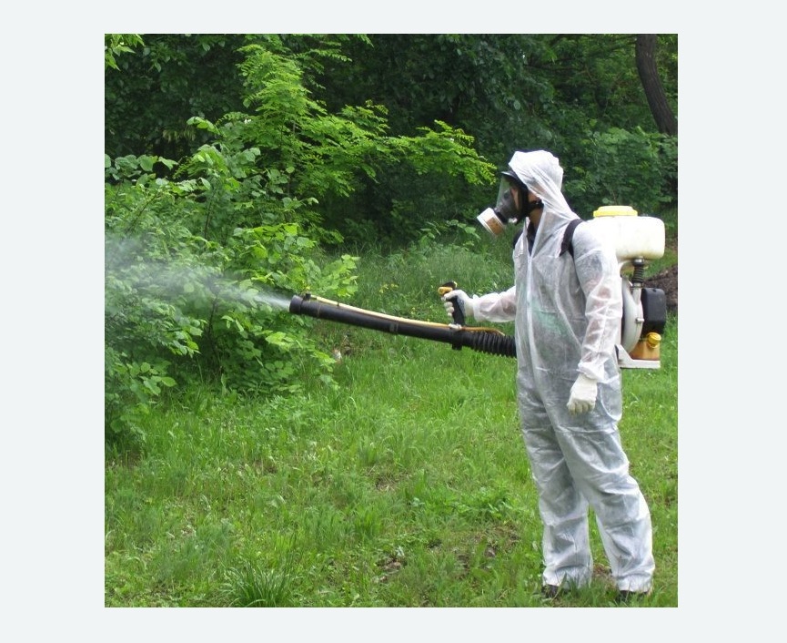 обработка территории от клещей в Останкинском районе Москвы