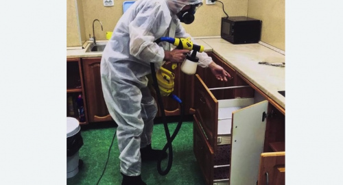 Уничтожение насекомых в квартире. Останкинский район 