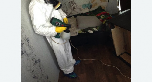 Обработка квартир от насекомых в Останкинском районе Москвы