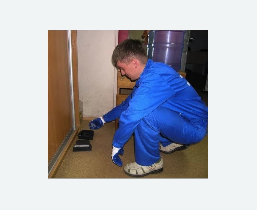 Дератизация крыс в Останкинском районе Москвы