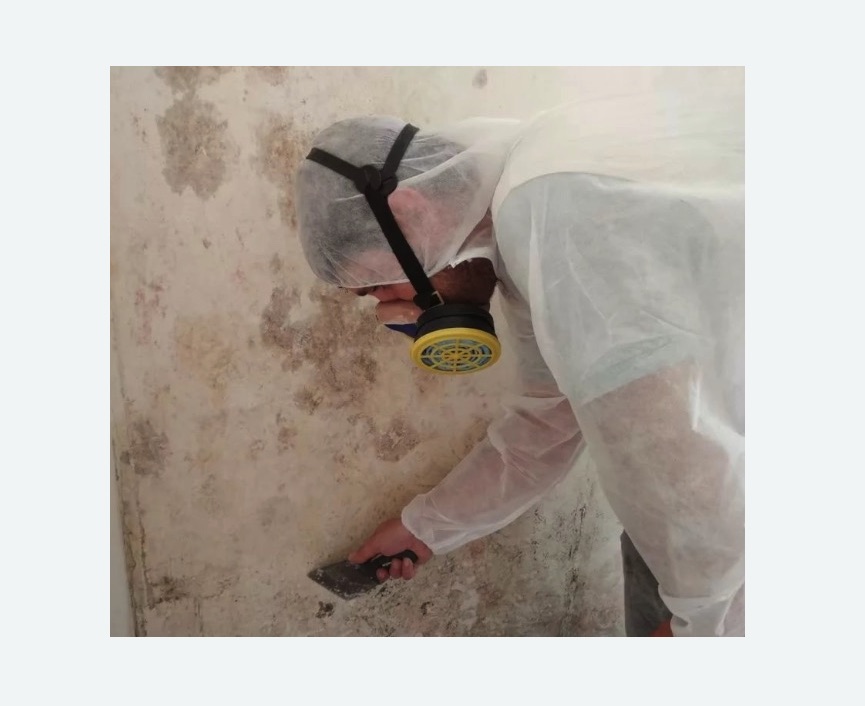 Обработка стен от плесени в Останкинском районе Москвы