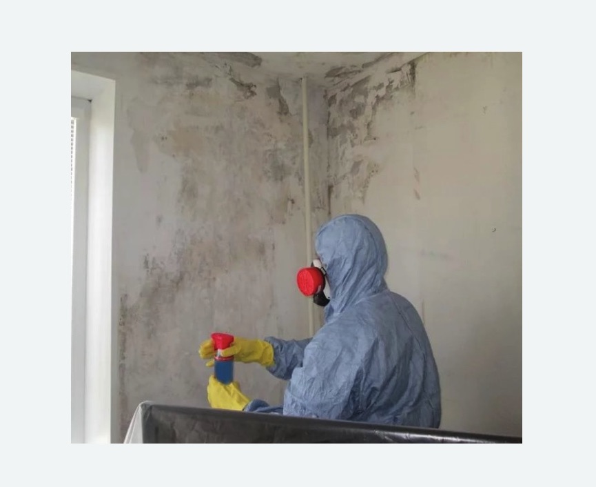 Удаление плесени в квартире в Останкинском районе Москвы