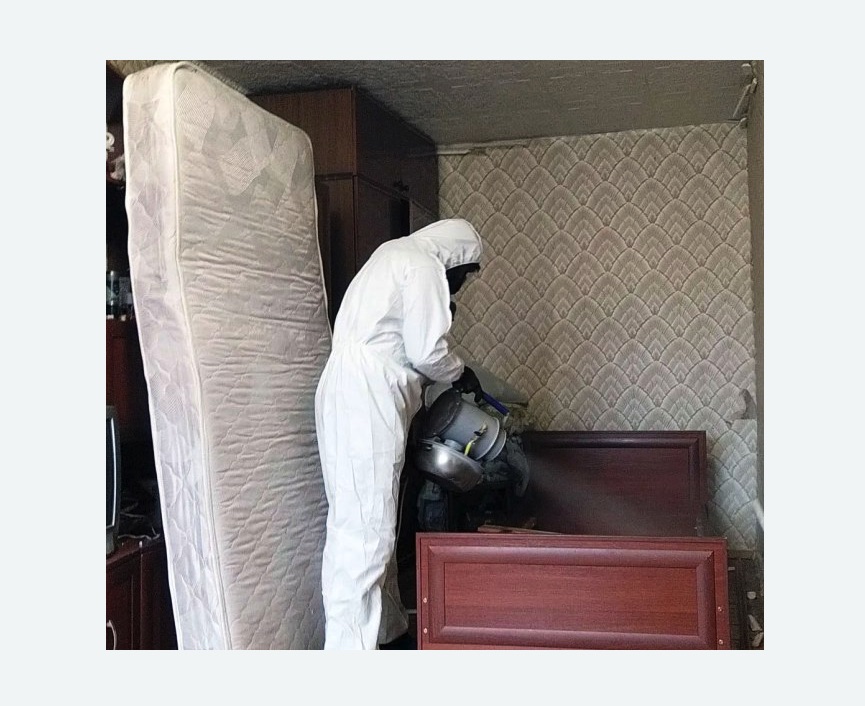 дезинфекция от клопов в Останкинском районе Москвы