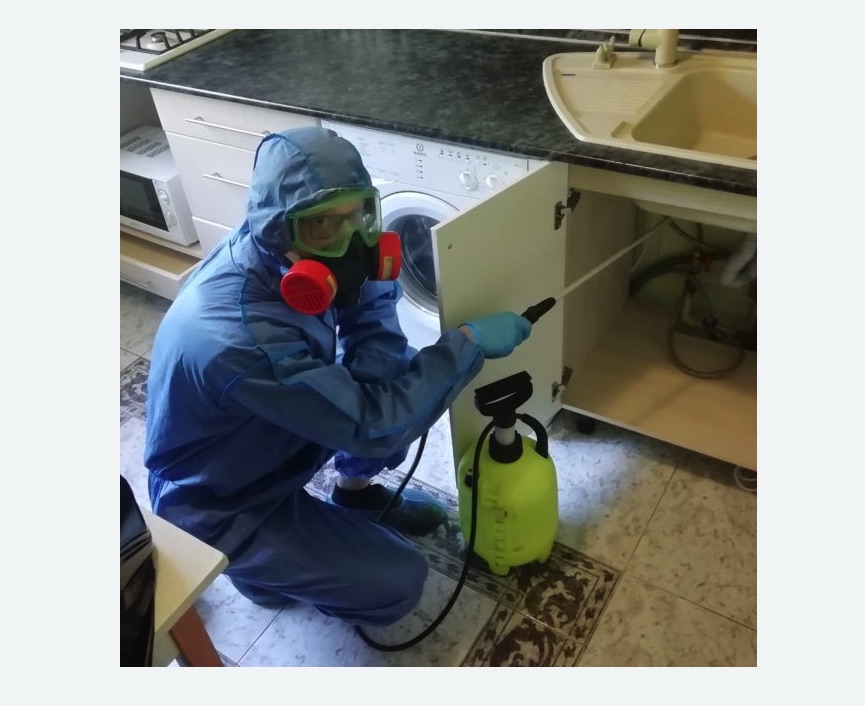 обработка от муравьев в квартире в Останкинском районе Москвы