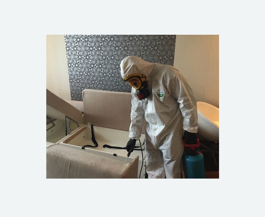 уничтожение клопов в квартире в Останкинском районе Москвы