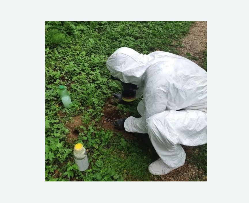 уничтожение кротов на участке в Останкинском районе Москвы