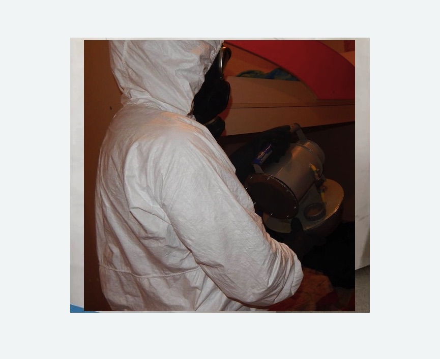 Дезинфекция от муравьев в Останкинском районе Москвы