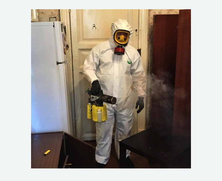 уничтожение муравьев в квартире в Останкинском районе Москвы